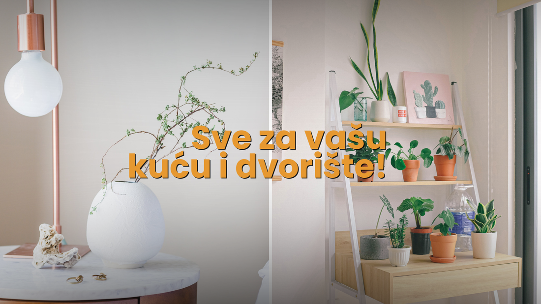 kuca i dvoriste